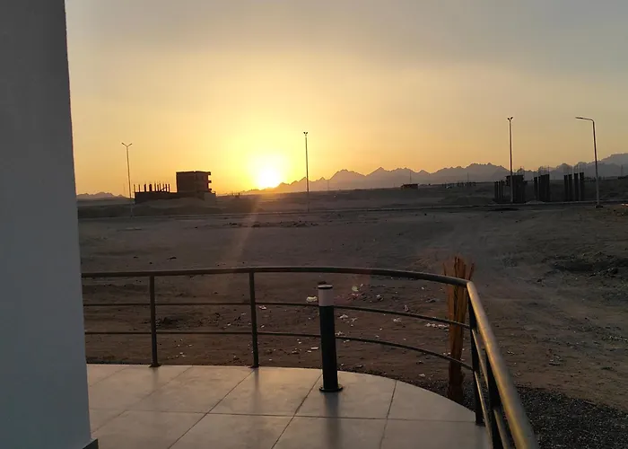 Oasis