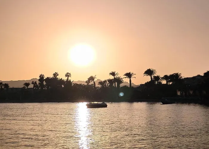 Oasis Safaga
