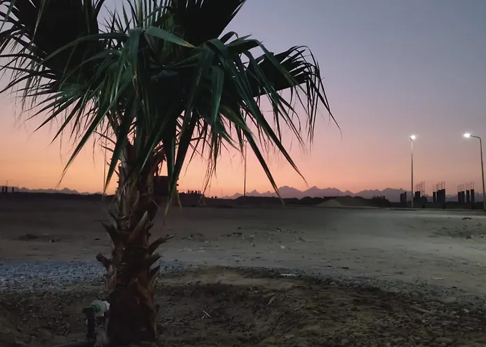 Oasis *